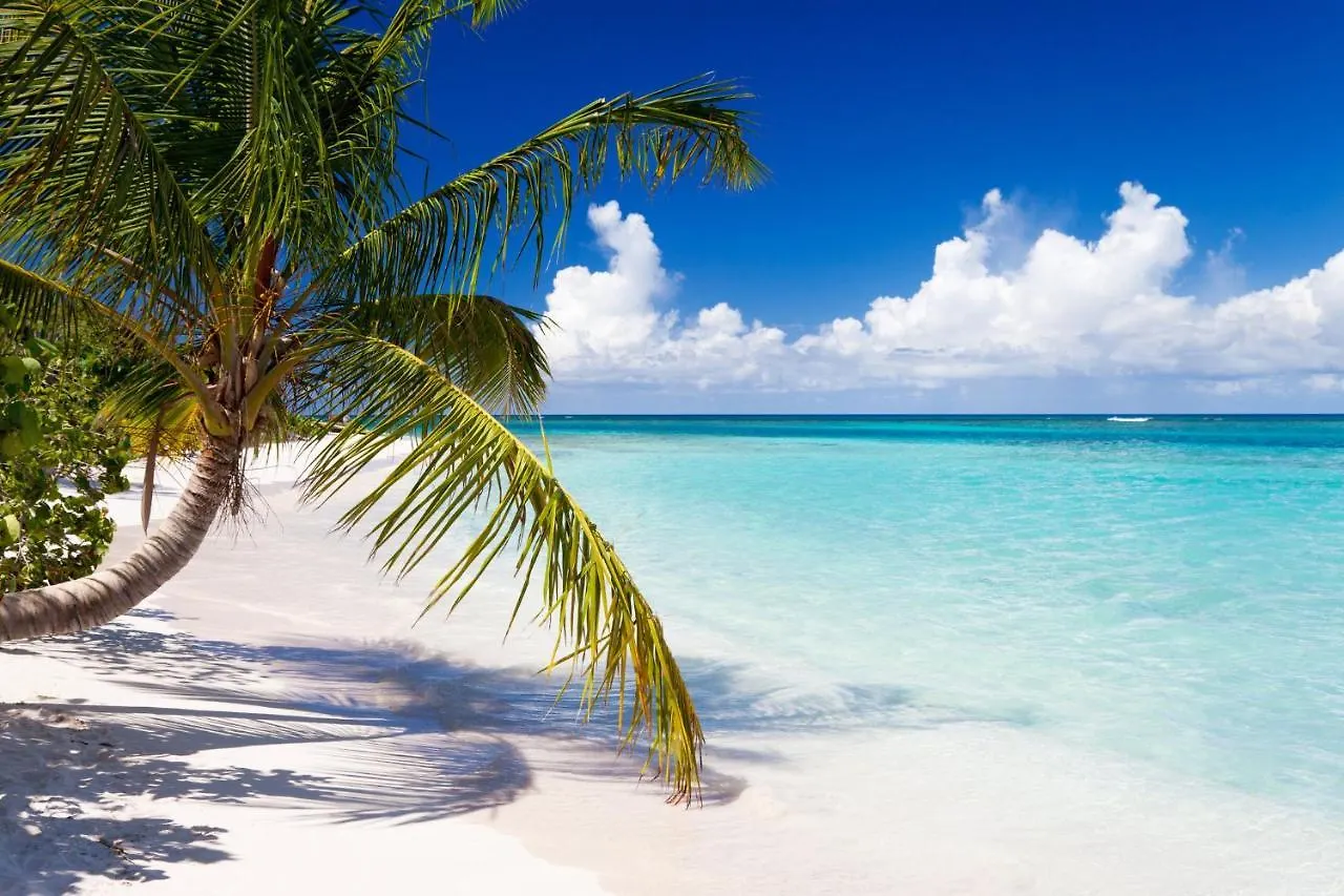 Вилла Chill Spot Ceiba 0*,